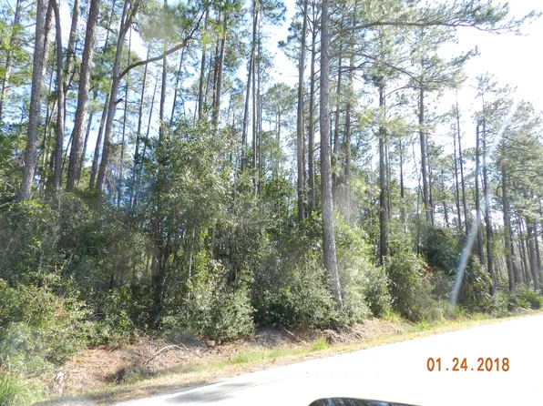 S Volusia Ave, Pierson, FL 32180