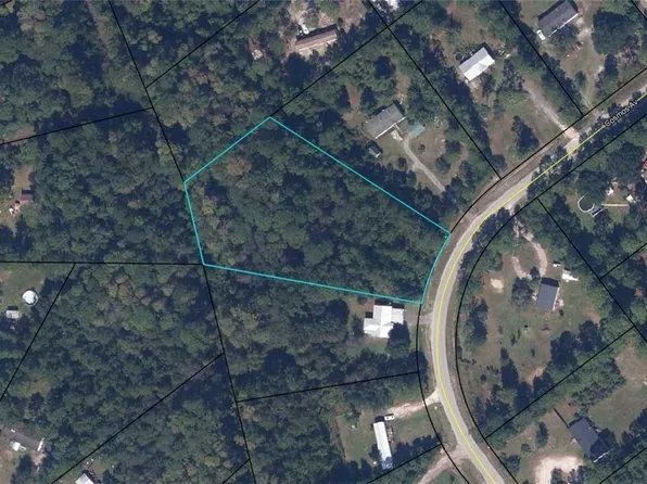 2302 Cosmos Ave, Middleburg, FL 32068