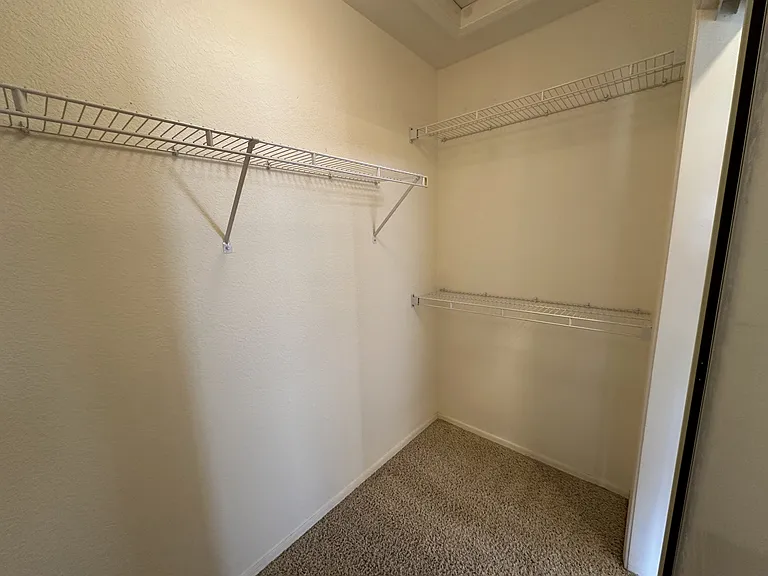 3032 Hidden Treasure Dr — Photo 60