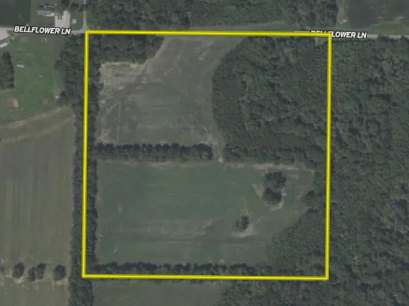 0 Bellflower Ln, Rinard, IL 62878