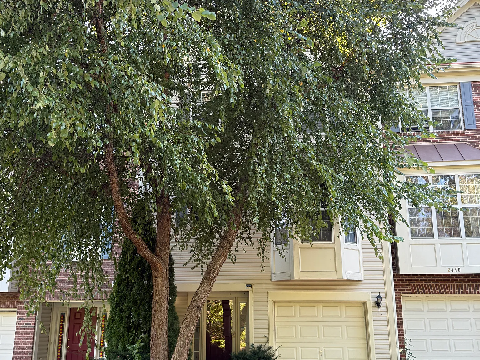 3 bed, 1684 sqft, $3,000 — Photo 3