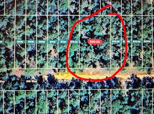 124 6th Way LOT 63, Interlachen, FL 32148