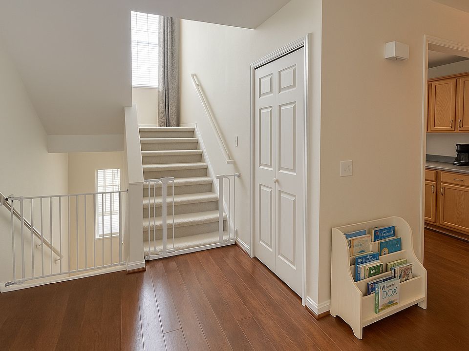 Main level