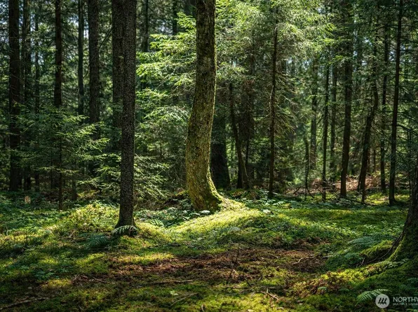 44110 SE 159th Street, North Bend, WA 98045