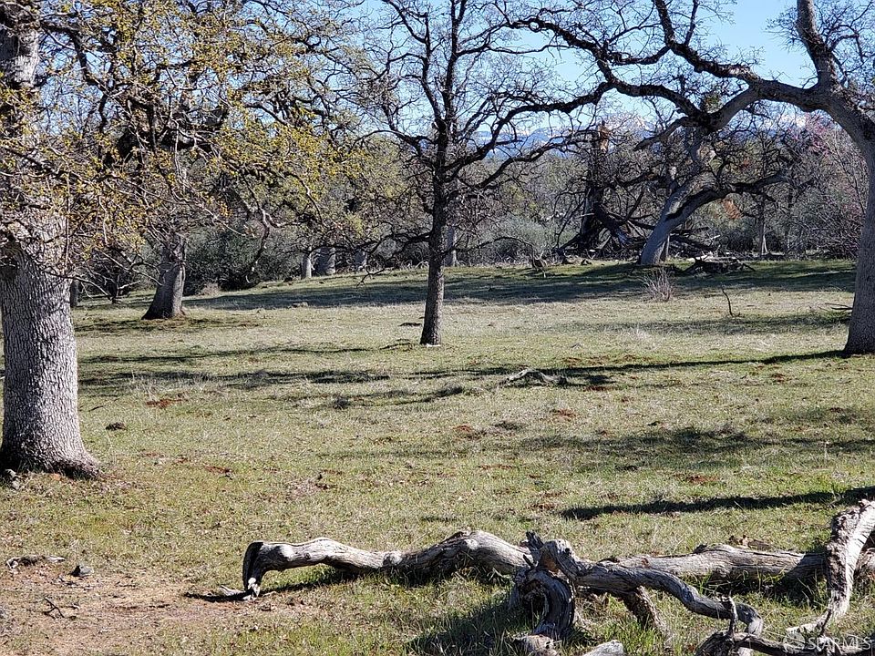 15 One E Ne Ranch Rd, Paynes Creek, CA 96075 MLS 424026481 Zillow