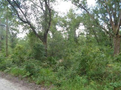 Harper Chapel Rd, Yulee, FL, 32097