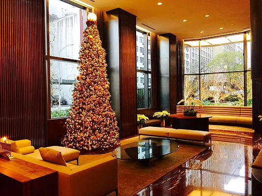Rented by Verus Real Estate | media 23