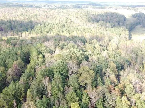 0TR-2 County Road 408, Heflin, AL 36264