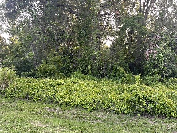 5th image of 2701 KINGFISHER VILLAGE LOT 1