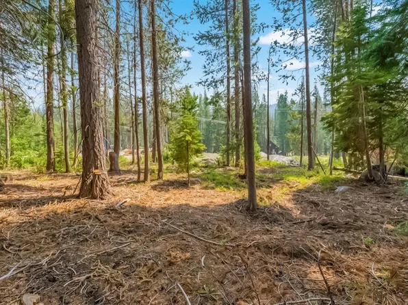 10296 Juniper Way, Soda Springs, CA 95728