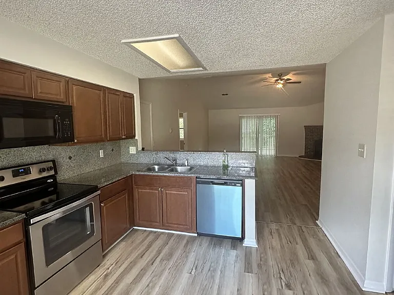 4790 Cinnamon Fern Dr — Photo 5