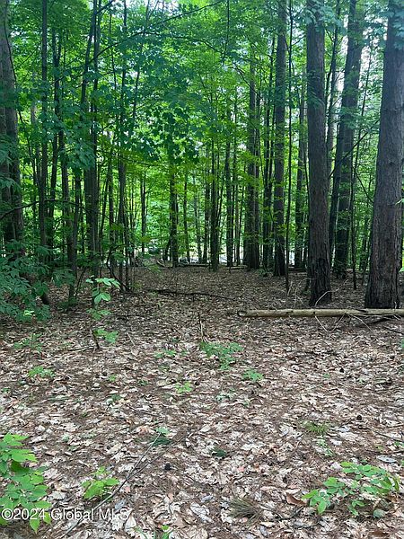 4th image of L5.2 Hermance Road