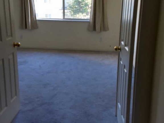 3rd image of 221 Chalet Woods Pl
