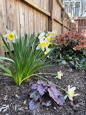 Sold by The Burkhardt Group | media 36