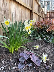 Sold by The Burkhardt Group