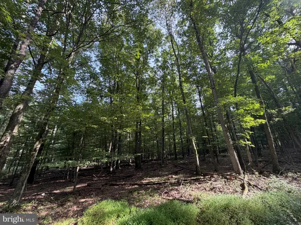 377 Davos Cir, Zion Grove, PA 17985