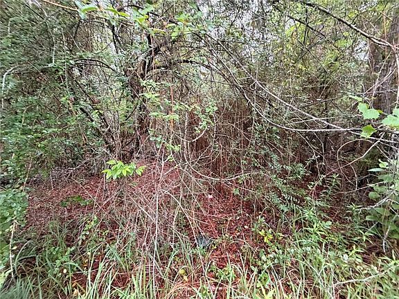 3rd image of 0 Laco Cooper Rd
