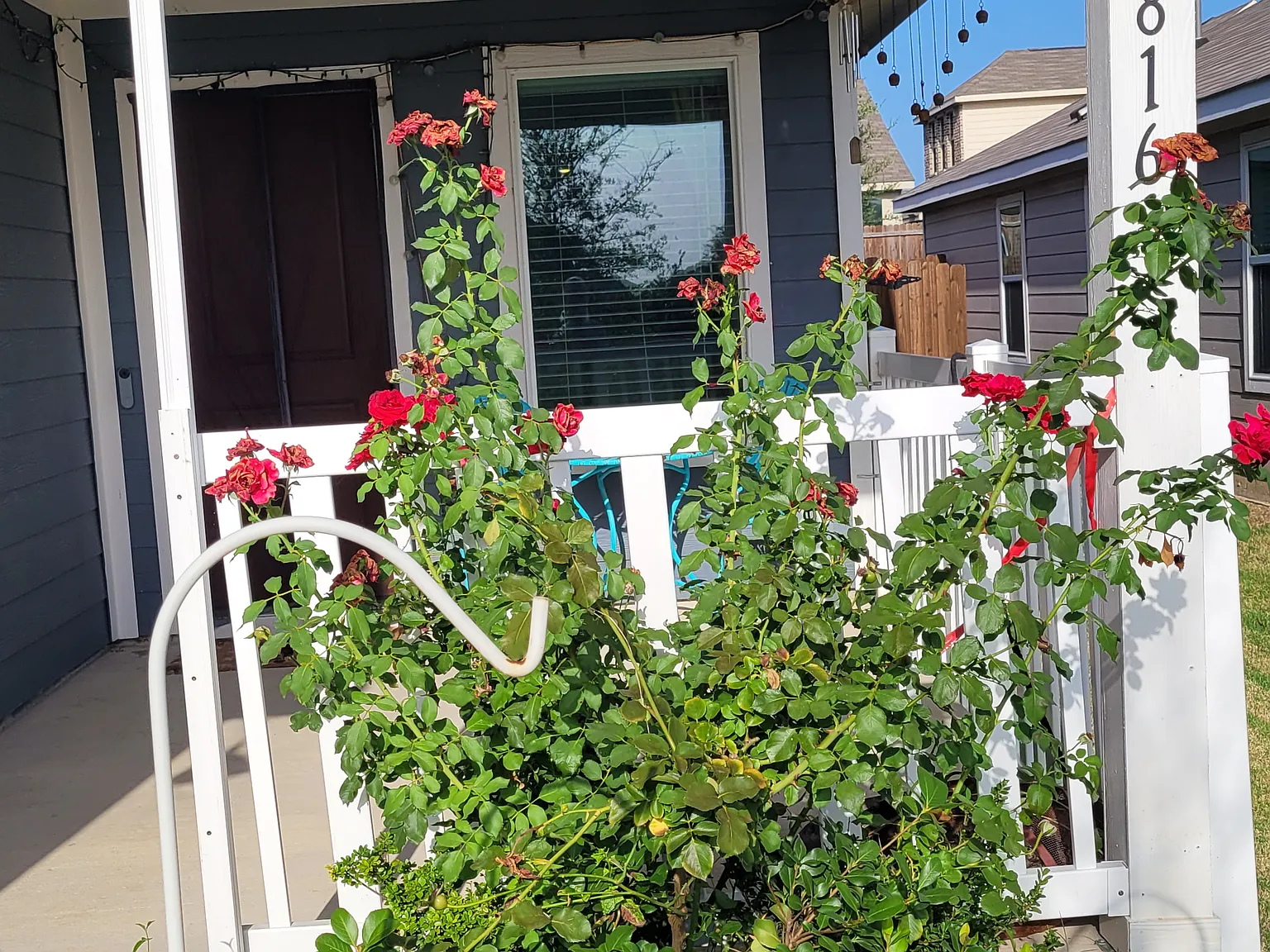 3 bed, 1265 sqft, $2,000 — Photo 3