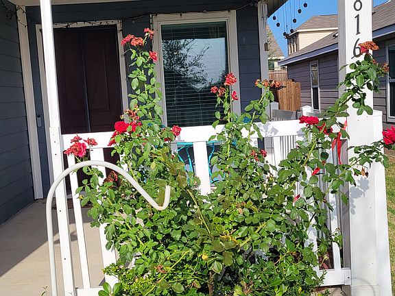 3rd image of 7816 Ruellia Rd