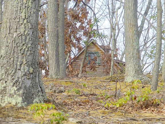 Shed looks like a real cabin