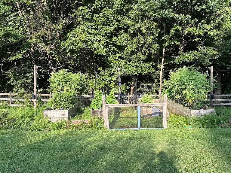 Garden in full bloom... tomatoes, cukes, peppers, squash, greenbeans, potatoess