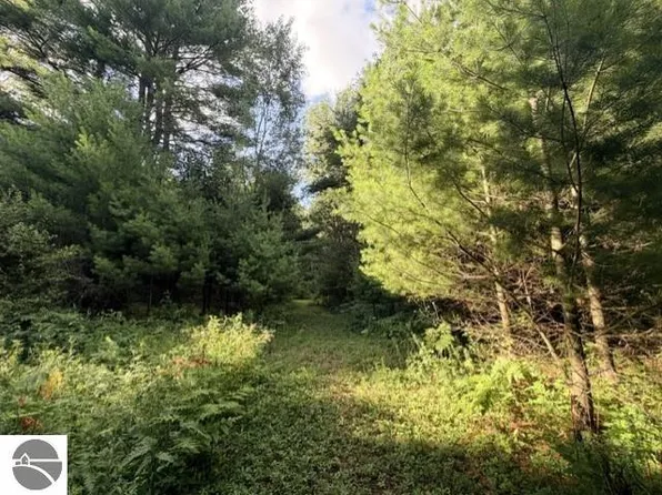 0 Timreck Rd Parcel B, Tawas City, MI 48763