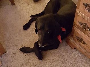 639 Mormon Springs Rd, Crestline, CA 92325