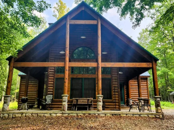 7315 Shellenbarger Rd, Hale, MI 48739