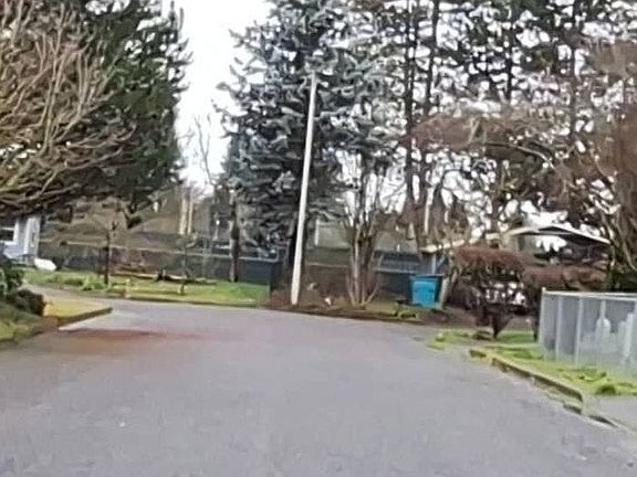 5th image of 13516 NE 82nd Cir