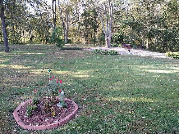 Part of the huge backyard.