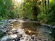Eagle Creek In Your Back Yard!