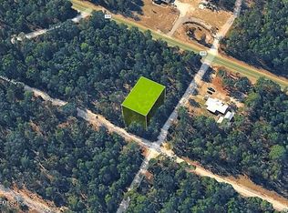 0 ALASKA Avenue, Interlachen, FL 32148