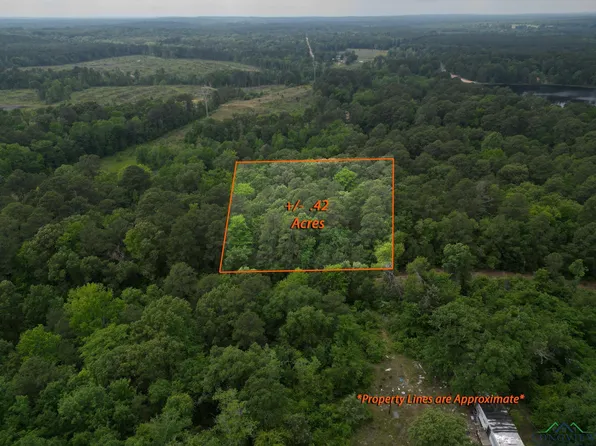 Elm Dr, Harleton, TX 75651