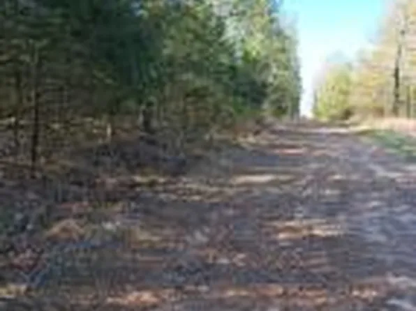 (undisclosed Address), London, AR 72847