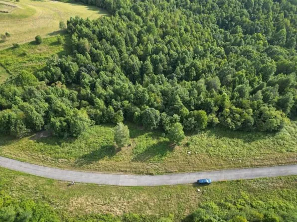 24 River Ridge Ln, Mount Nebo, WV 26679