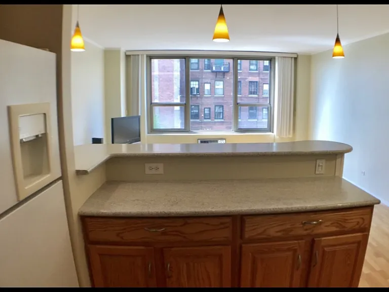 1550 N Lake Shore Dr #4D — Photo 6