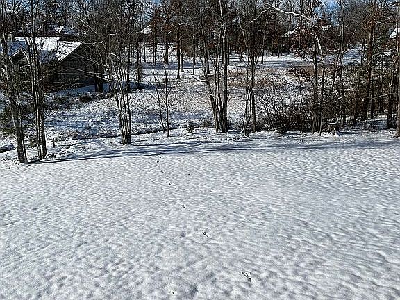 Side Yard