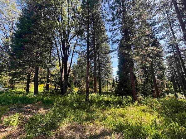 34 Mill House, McCloud, CA 96057
