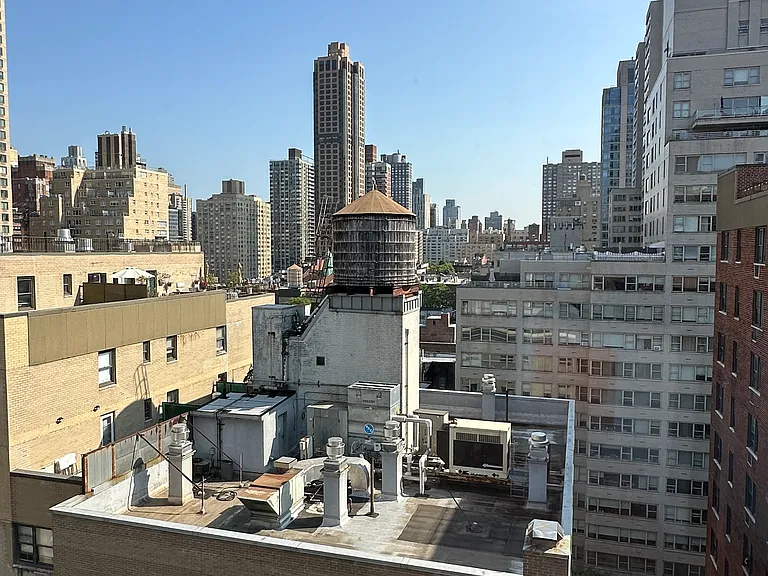 435 E 79th St #PHD — Photo 10