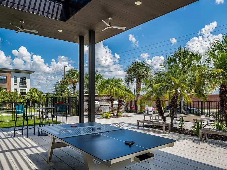 Ping Pong Table