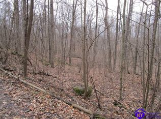 4045 Pine Ridge Rd, Battletown, KY 40104