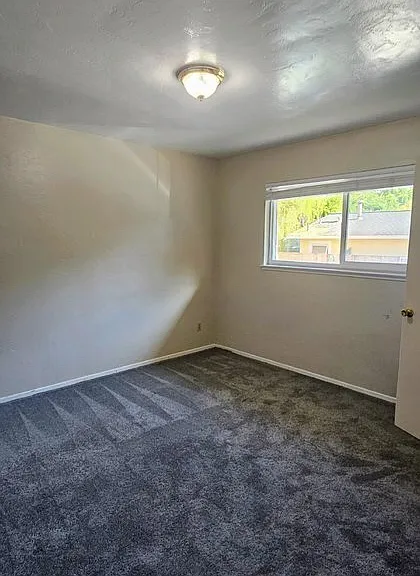 511 Walnut Ave #A — Photo 4