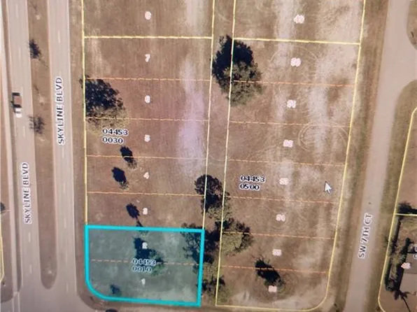 1125 Skyline BLVD, CAPE CORAL, FL 33991