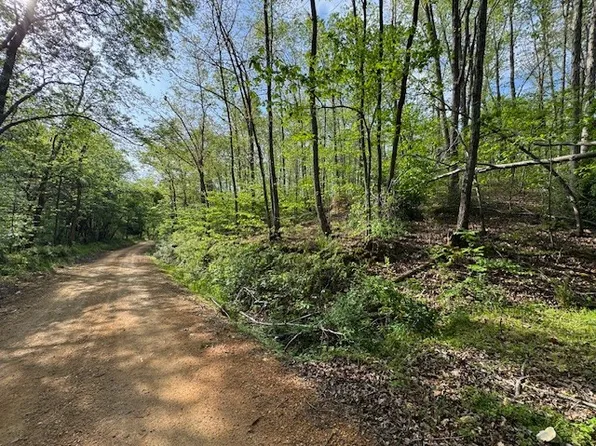 455 Moss Spring Hollow Rd, Centerville, TN 37033