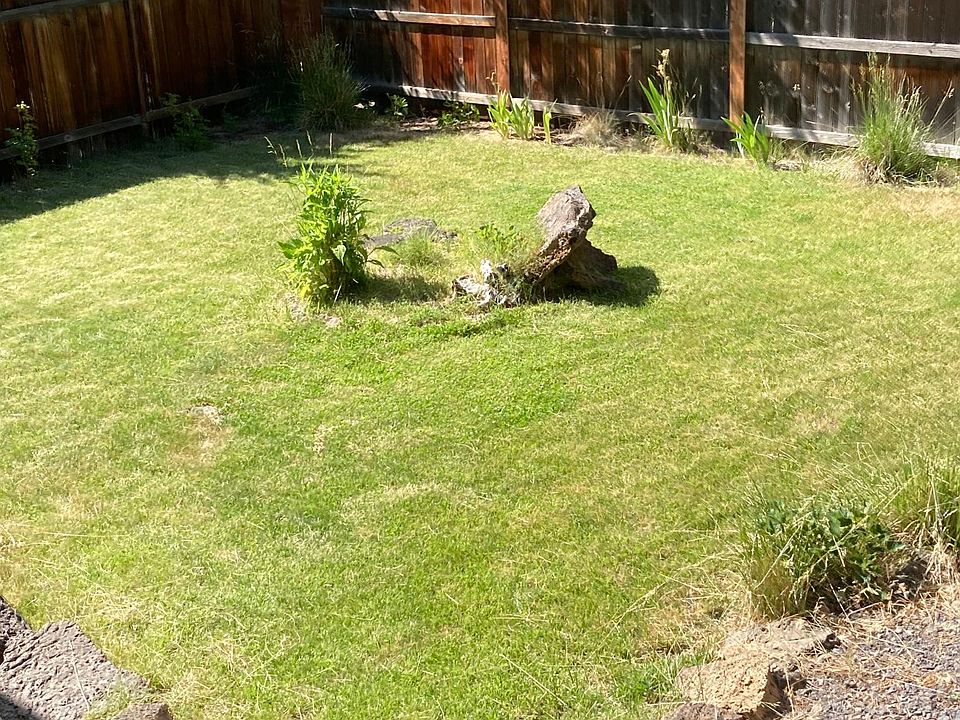 Private Back yard