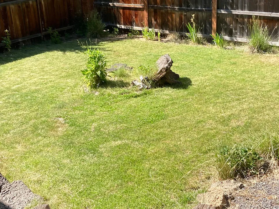 Private Back yard