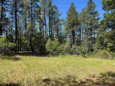 216 Fawn Drive, Bayfield, CO, 81122