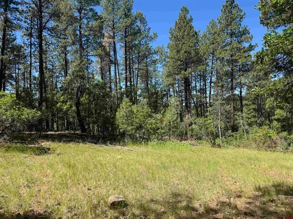 216 Fawn Drive, Bayfield, CO 81122