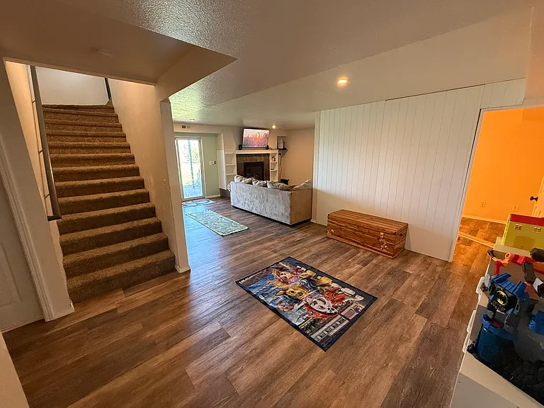 Basement Family Room