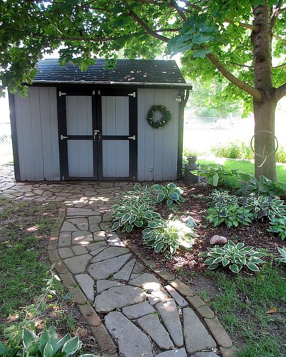 Shed - backyard